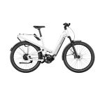 Riese & Müller TB Homage 4 GT vario 54cm pearl white 625Wh 24 Testbike