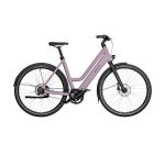 Riese & Müller TB Culture mixte silent 50cm 8G 400Wh blossom 24